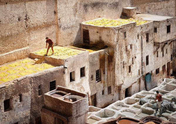 Tannery, Fez