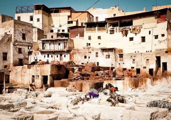 Tannery, Fez